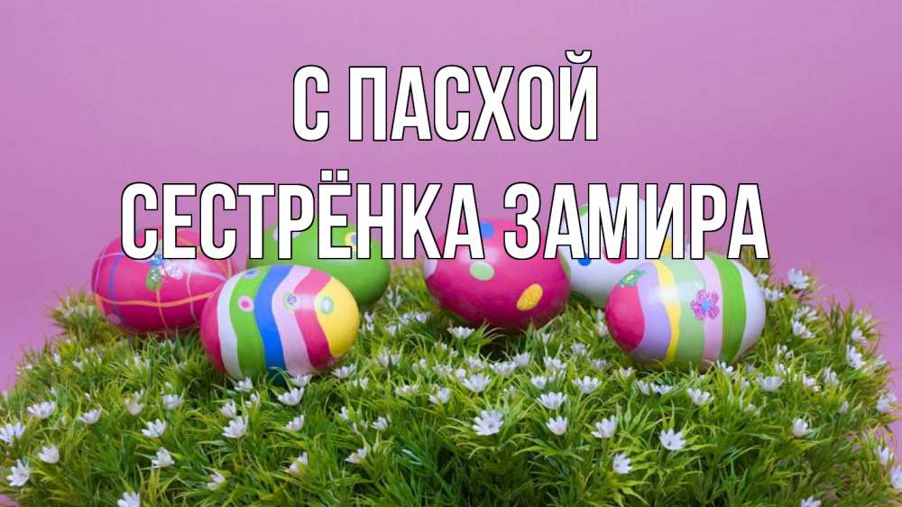 Открытка на каждый день с именем, Сестрёнка-Замира С пасхой пасха Прикольная открытка с пожеланием онлайн скачать бесплатно 