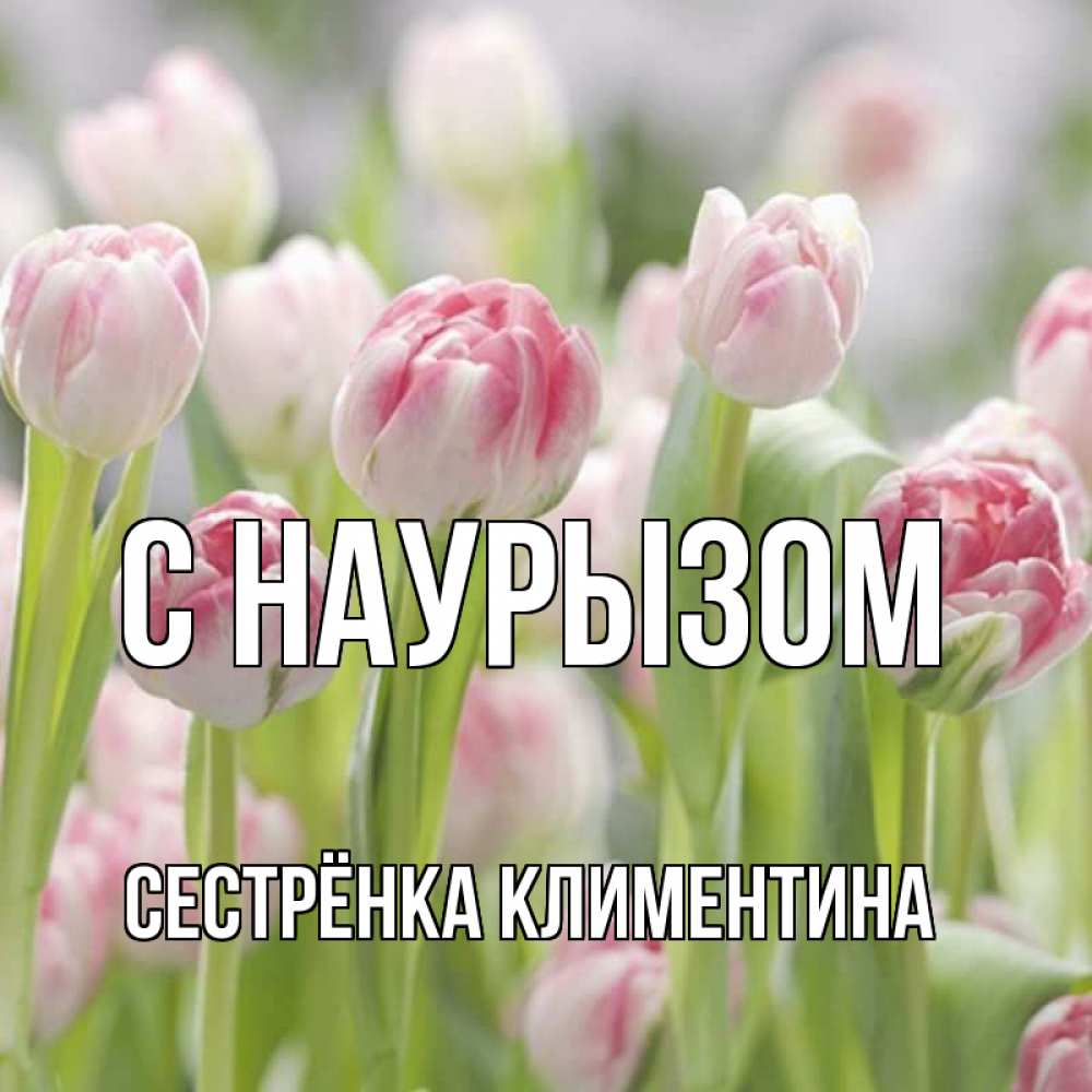 Открытка на каждый день с именем, Сестрёнка-Климентина С наурызом цветы Прикольная открытка с пожеланием онлайн скачать бесплатно 