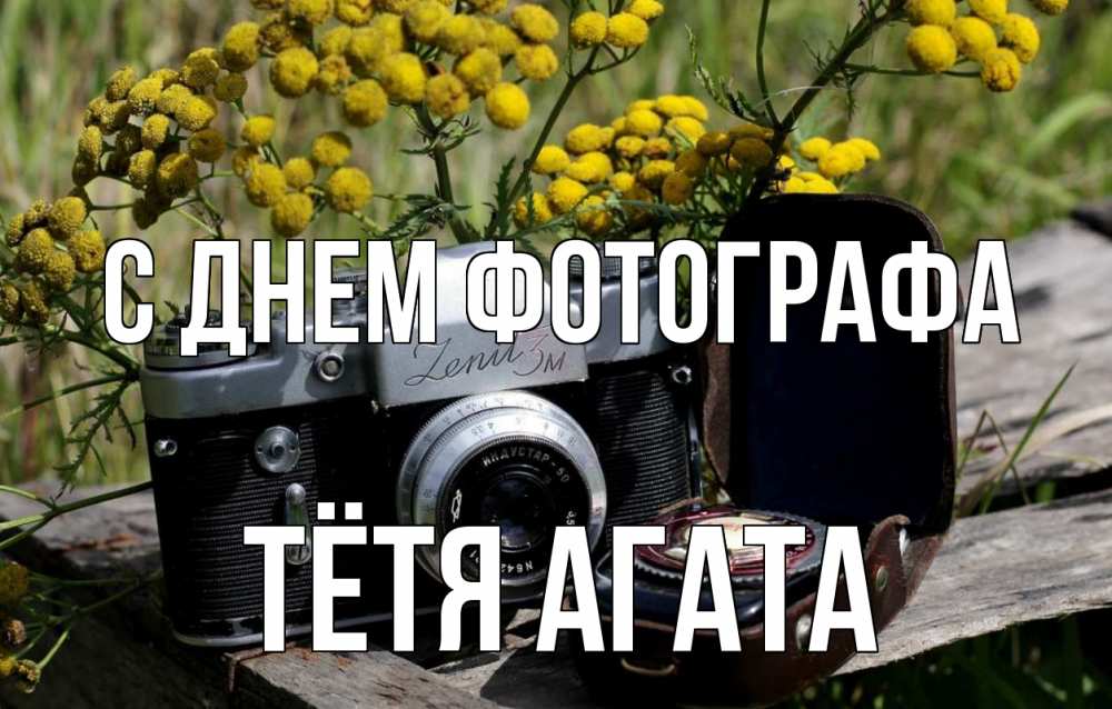 Открытка на каждый день с именем, Тётя-Агата С днем фотографа с днем фотографа Прикольная открытка с пожеланием онлайн скачать бесплатно 