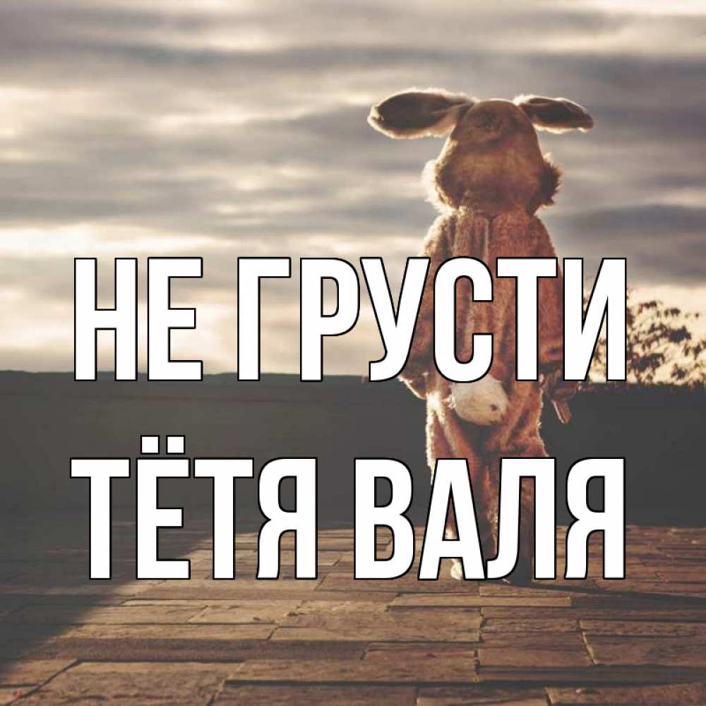 Открытка на каждый день с именем, Тётя-Валя Не грусти со спины Прикольная открытка с пожеланием онлайн скачать бесплатно 
