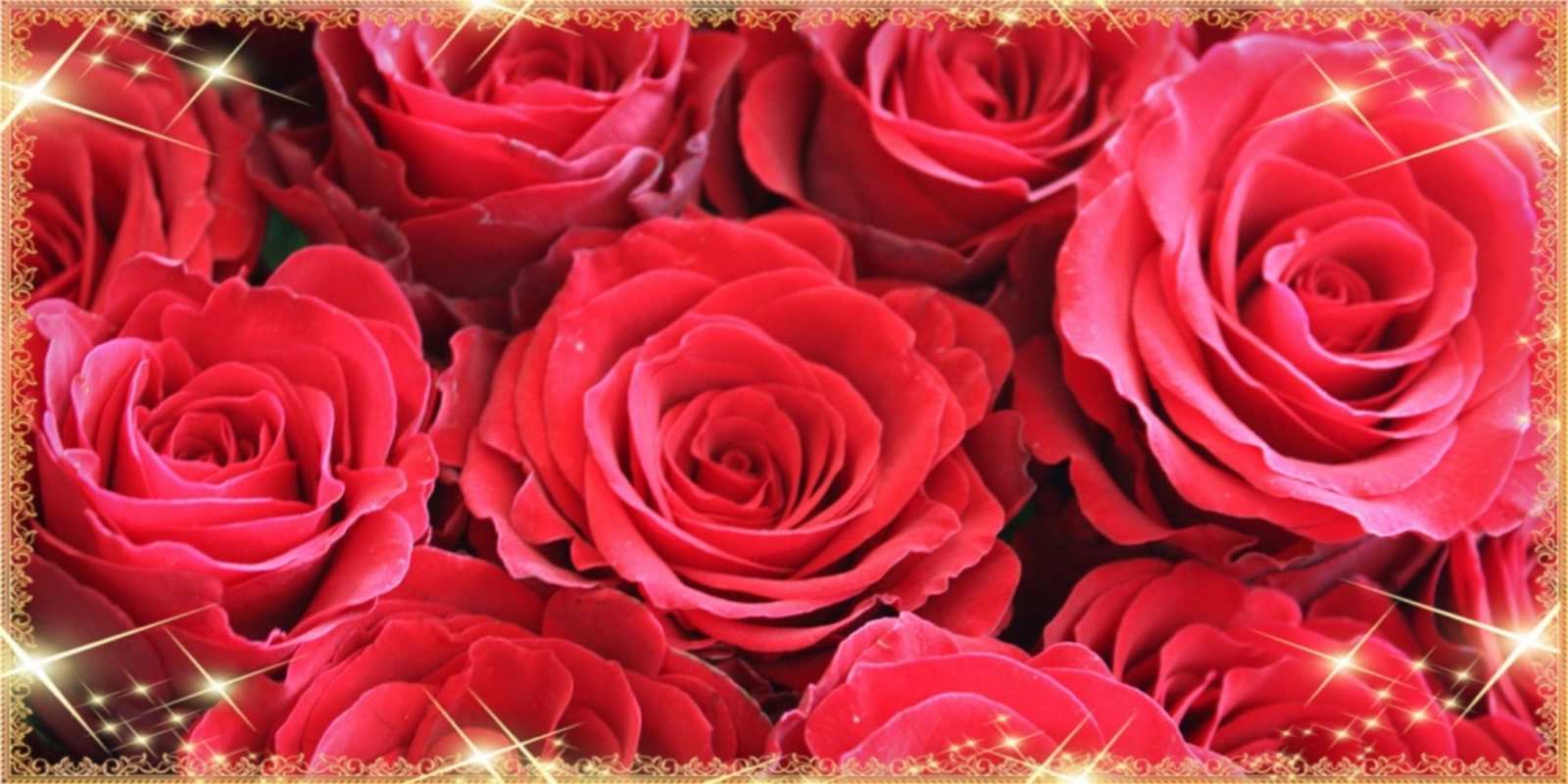 Открытка много распустившихся роз на наурыз красивым и любимым женщинам открытки на праздник весны наурыз С наурызом 