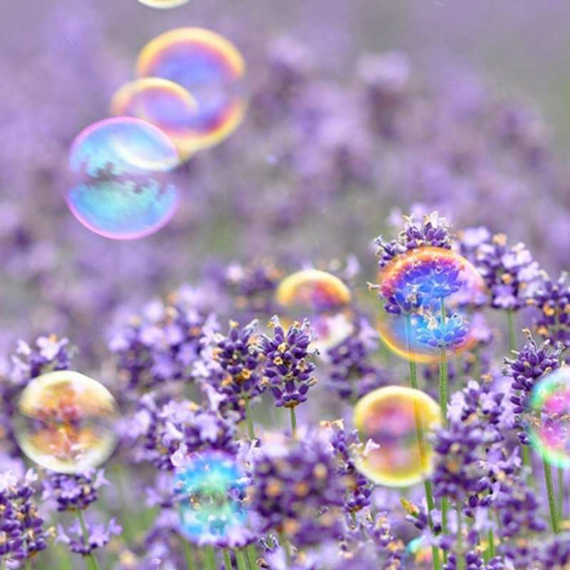 Открытка цветы и мыльные пузыри  цветы  С наурызом 