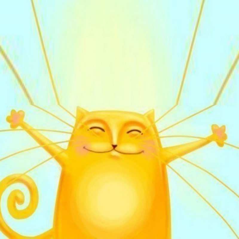 Открытка много счастья и веселый кот  обнимашки  Думаю о тебе 