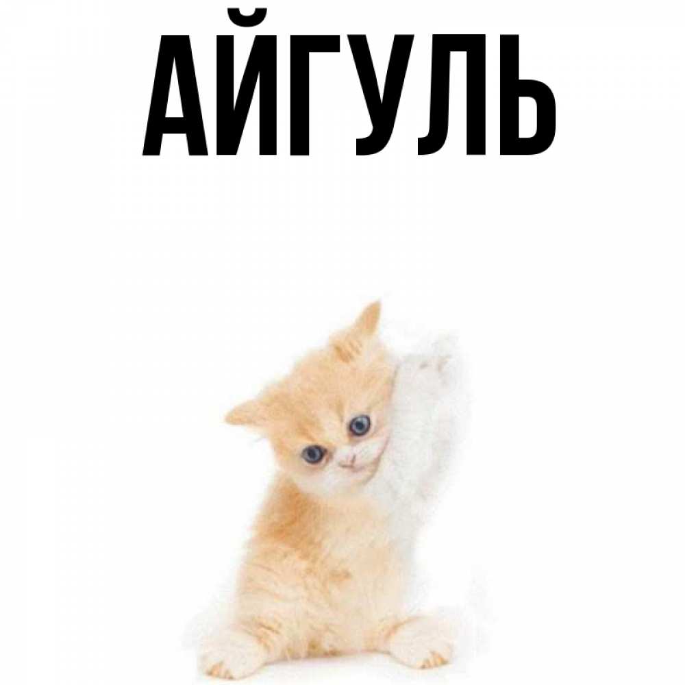 Открытка на каждый день с именем, Айгуль Главная я хочу очень скорее обнимаешек Прикольная открытка с пожеланием онлайн скачать бесплатно 