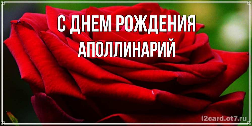 Открытка на каждый день с именем, Аполлинарий С днем рождения розочка очень красивая Прикольная открытка с пожеланием онлайн скачать бесплатно 