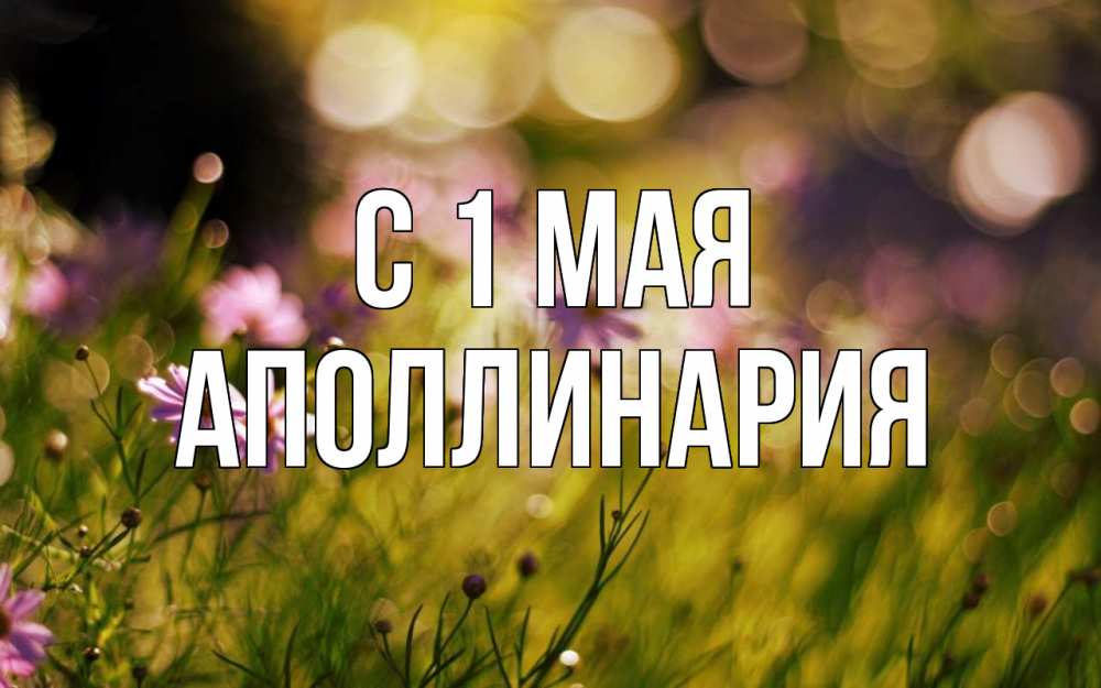 Открытка на каждый день с именем, Аполлинария С 1 мая С 1 мая Прикольная открытка с пожеланием онлайн скачать бесплатно 