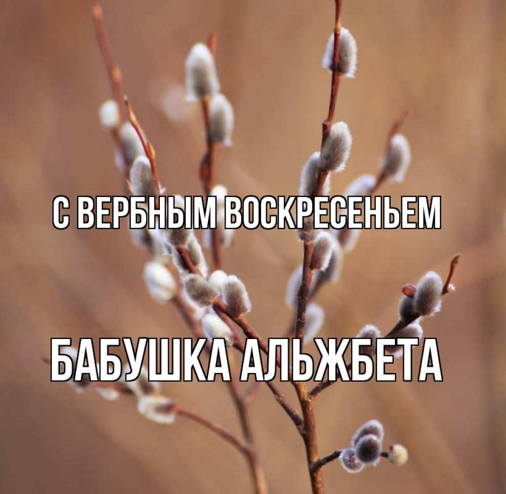 Открытка на каждый день с именем, Бабушка-Альжбета С вербным воскресеньем верба Прикольная открытка с пожеланием онлайн скачать бесплатно 