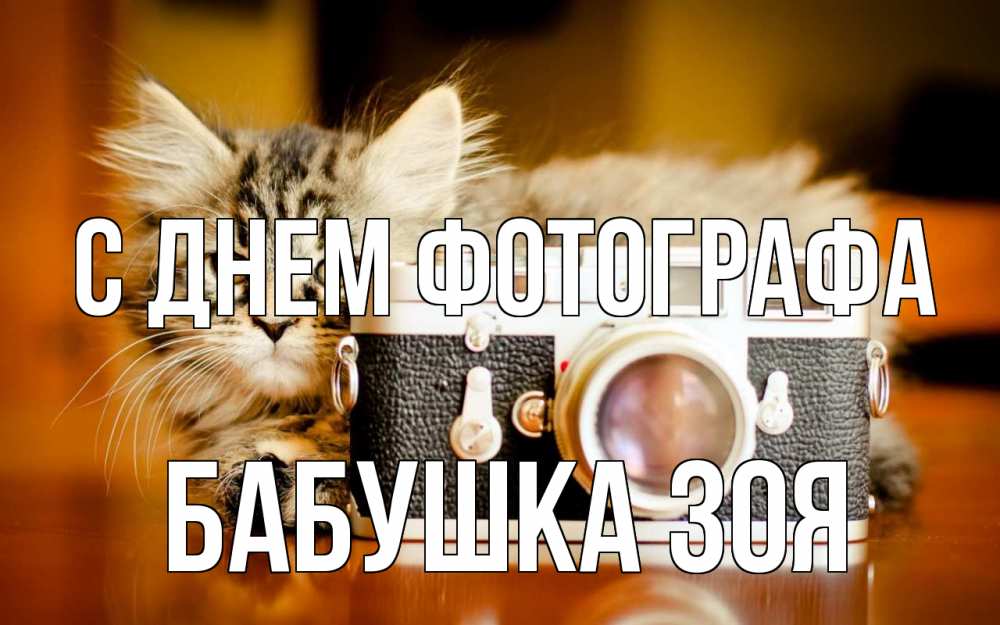 Открытка на каждый день с именем, Бабушка-Зоя С днем фотографа с днем фотографа Прикольная открытка с пожеланием онлайн скачать бесплатно 