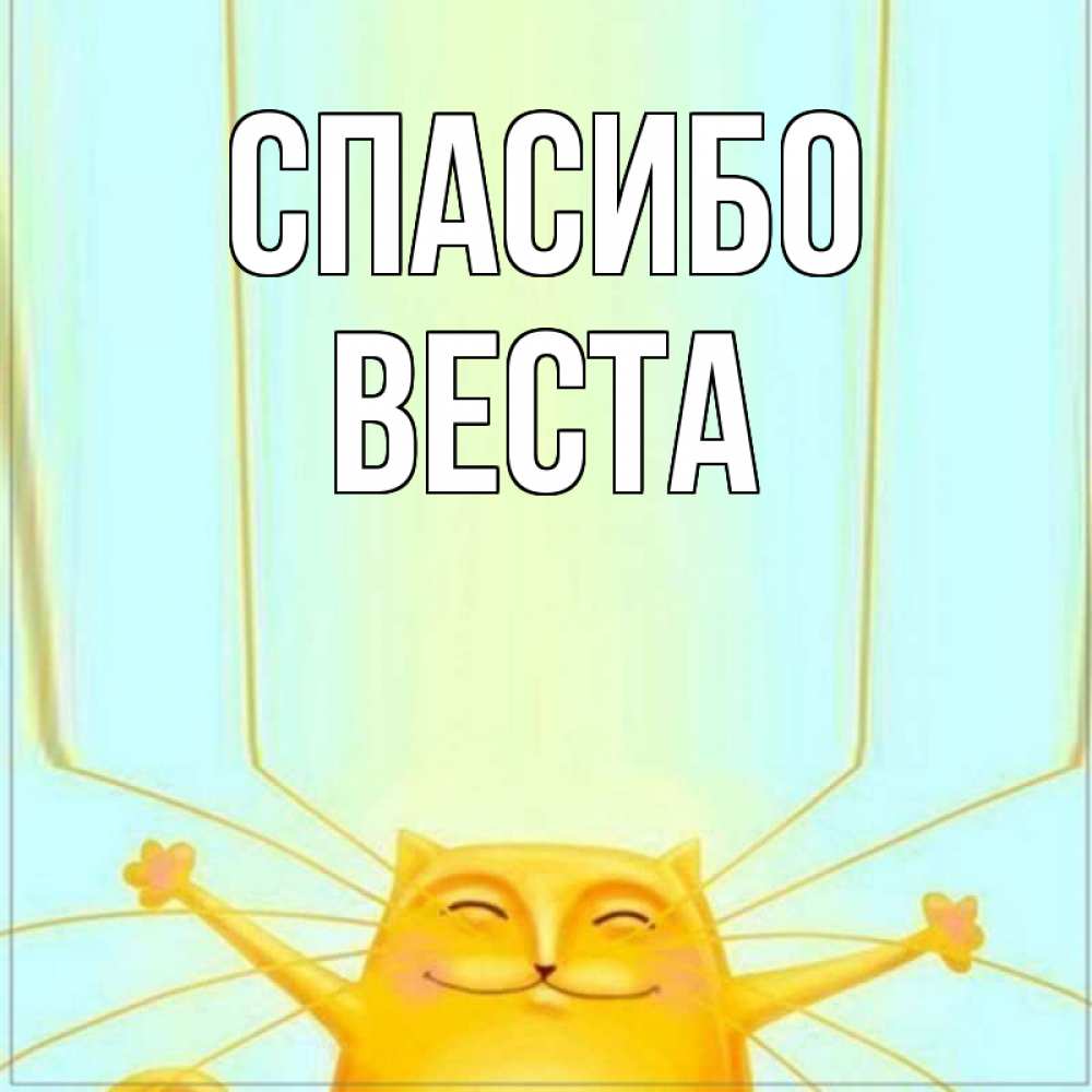Открытка на каждый день с именем, Веста Спасибо кот с усами благодарит Прикольная открытка с пожеланием онлайн скачать бесплатно 
