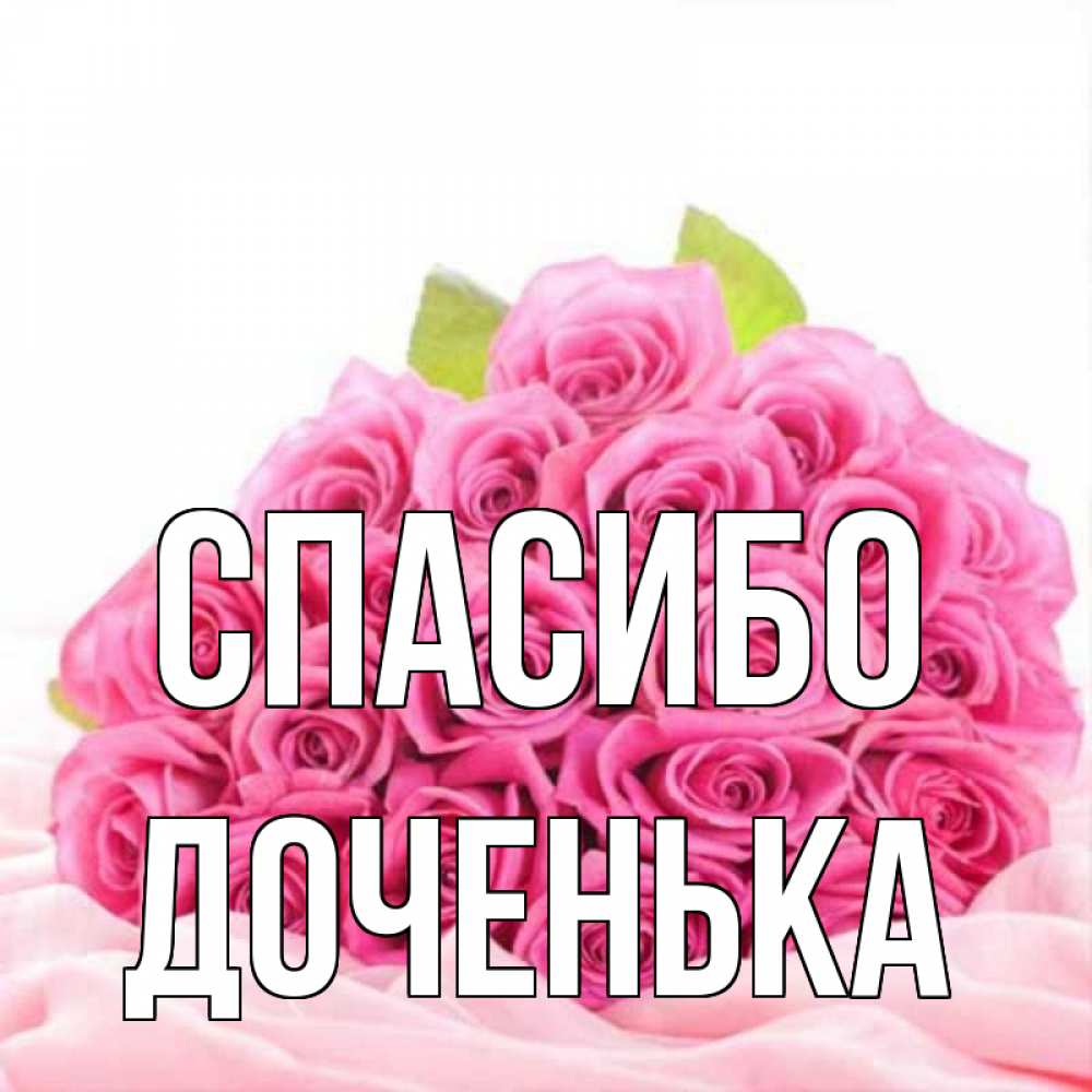 Открытка на каждый день с именем, ДОЧЕНЬКА Спасибо розовые розы с подписью Прикольная открытка с пожеланием онлайн скачать бесплатно 