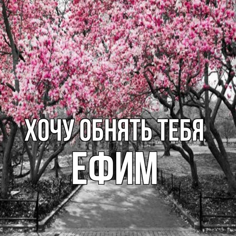 Открытка на каждый день с именем, Ефим Хочу обнять тебя обработанное фото Прикольная открытка с пожеланием онлайн скачать бесплатно 
