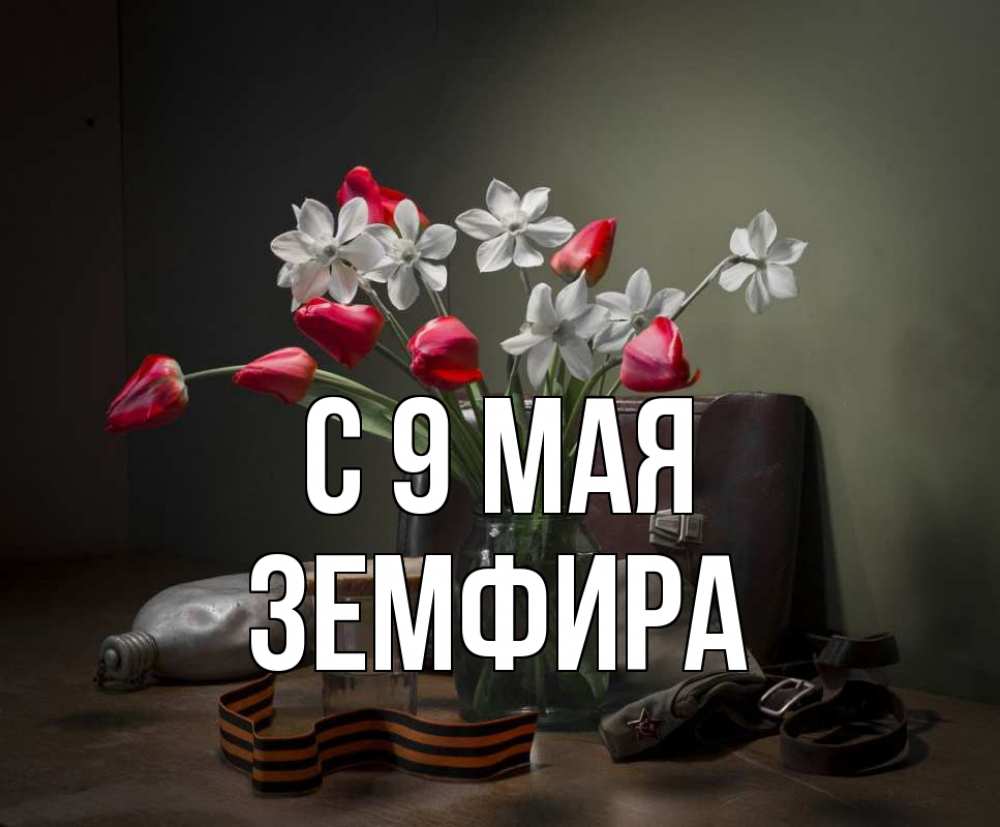 Открытка на каждый день с именем, Земфира С 9 мая 9 мая Прикольная открытка с пожеланием онлайн скачать бесплатно 