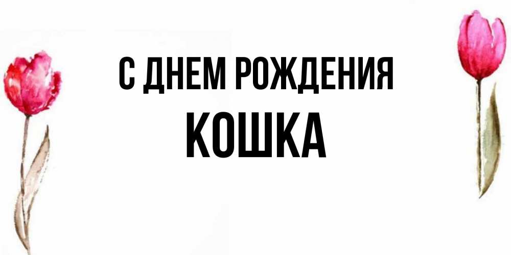 Открытка С Днем Рождения Пашка