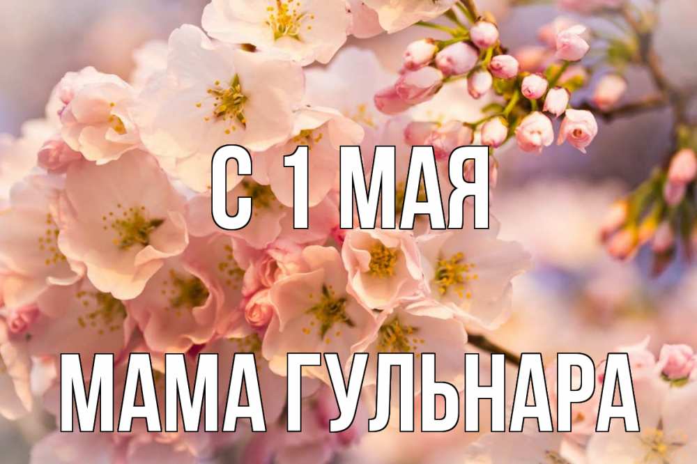 Открытка на каждый день с именем, Мама-Гульнара С 1 мая С 1 мая Прикольная открытка с пожеланием онлайн скачать бесплатно 