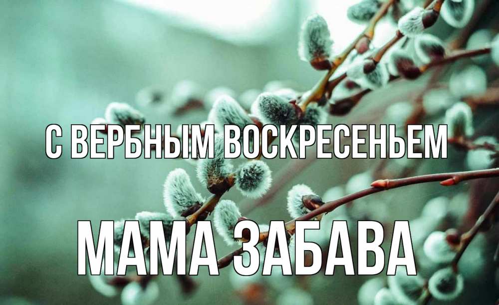 Открытка на каждый день с именем, Мама-Забава С вербным воскресеньем верба Прикольная открытка с пожеланием онлайн скачать бесплатно 