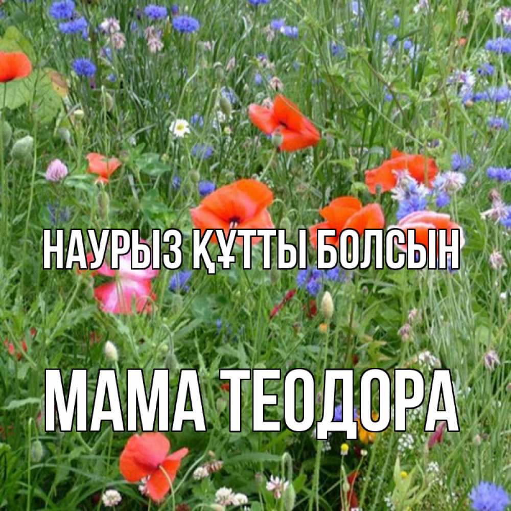 Открытка на каждый день с именем, Мама-Теодора Наурыз құтты болсын наурыз  4 Прикольная открытка с пожеланием онлайн скачать бесплатно 
