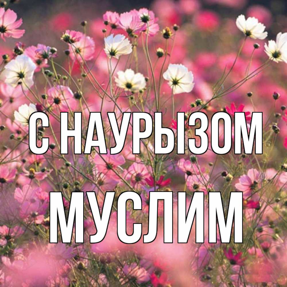 Открытка на каждый день с именем, Муслим С наурызом красиво 1 Прикольная открытка с пожеланием онлайн скачать бесплатно 