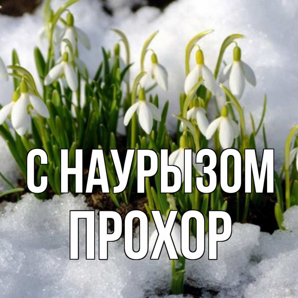 Открытка на каждый день с именем, Прохор С наурызом цветы весенние Прикольная открытка с пожеланием онлайн скачать бесплатно 