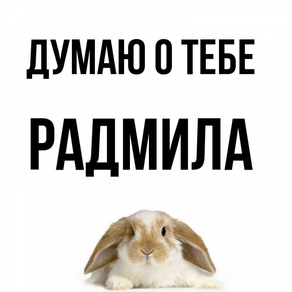 Открытка на каждый день с именем, Радмила Думаю о тебе подписать своими руками онлайн Прикольная открытка с пожеланием онлайн скачать бесплатно 