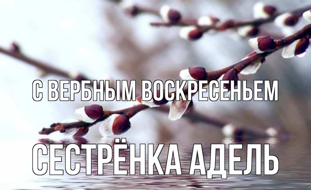 Открытка на каждый день с именем, Сестрёнка-Адель С вербным воскресеньем верба, ручей Прикольная открытка с пожеланием онлайн скачать бесплатно 