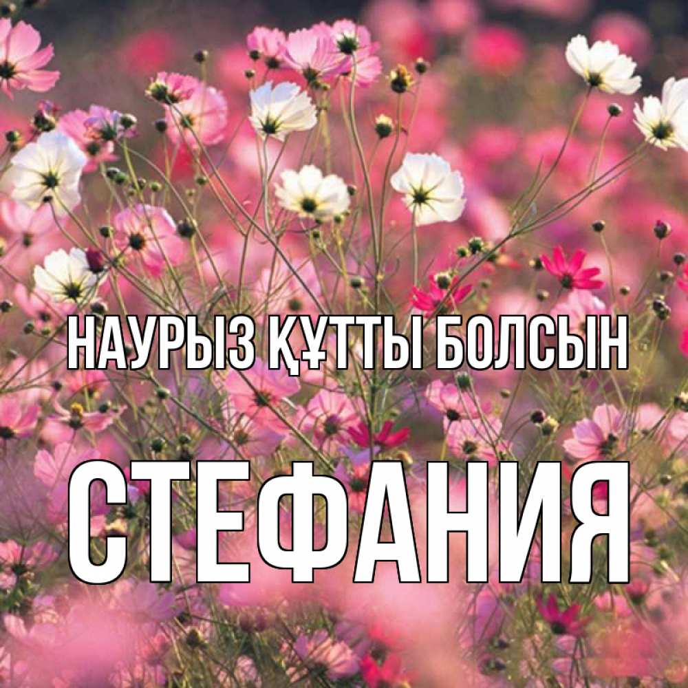 Открытка на каждый день с именем, Стефания Наурыз құтты болсын красиво 1 Прикольная открытка с пожеланием онлайн скачать бесплатно 