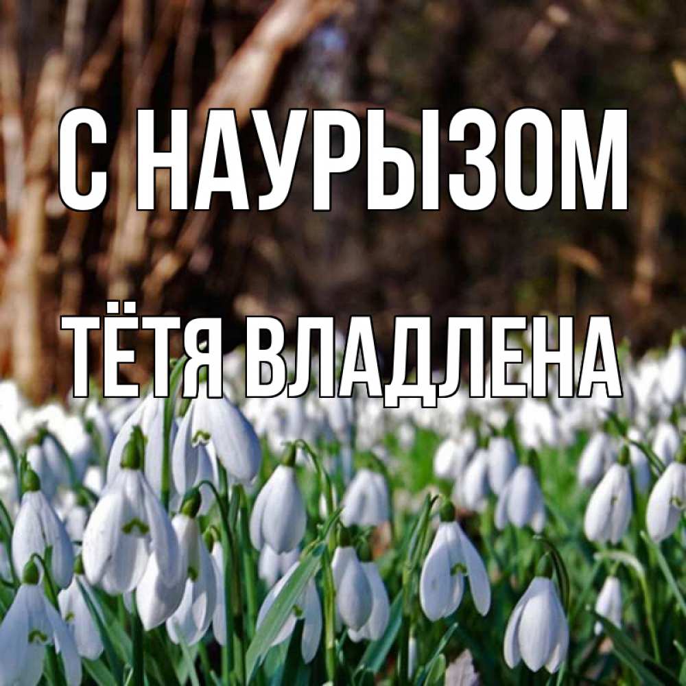 Открытка на каждый день с именем, Тётя-Владлена С наурызом с подснежниками 1 Прикольная открытка с пожеланием онлайн скачать бесплатно 