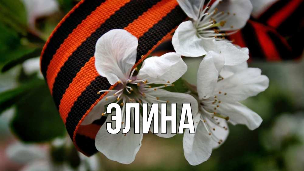 Открытка на каждый день с именем, Элина Главная 23 февраля Прикольная открытка с пожеланием онлайн скачать бесплатно 