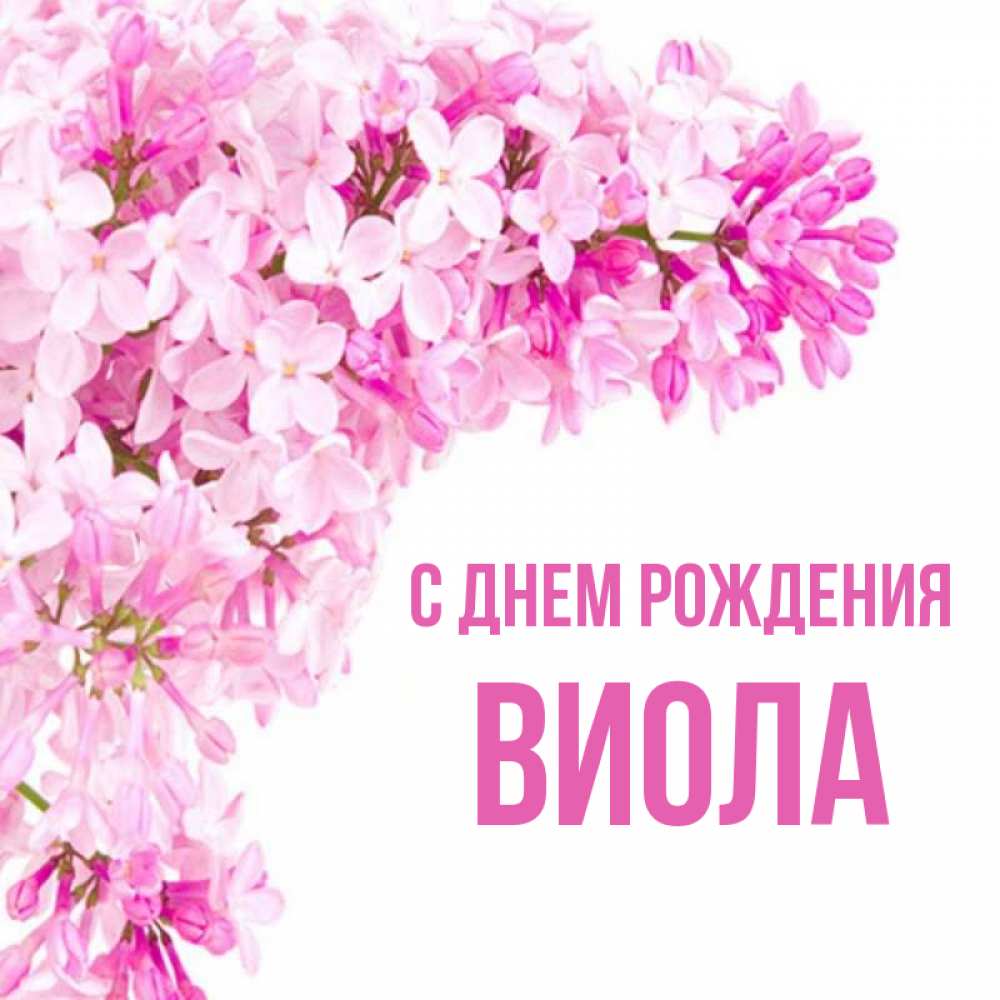 Виола имя