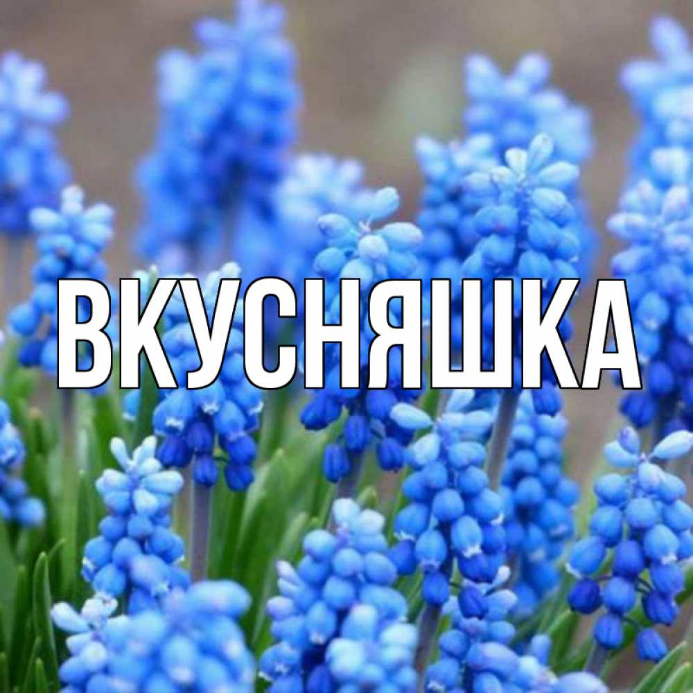 Открытка на каждый день с именем, Вкусняшка Главная Поздравительная открытка для женщин с цветами на праздничную дату Прикольная открытка с пожеланием онлайн скачать бесплатно 