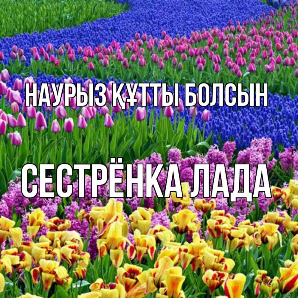 Открытка на каждый день с именем, Сестрёнка-Лада Наурыз құтты болсын цветы Прикольная открытка с пожеланием онлайн скачать бесплатно 