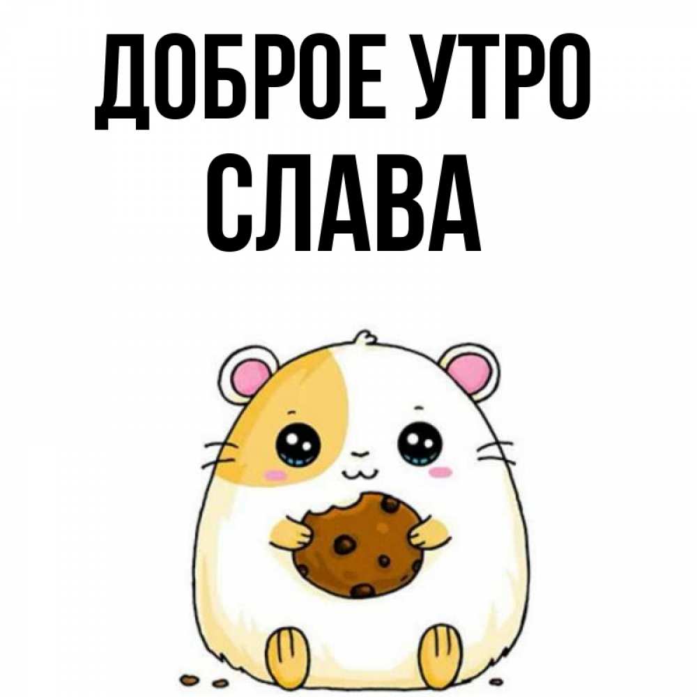 Слава утро