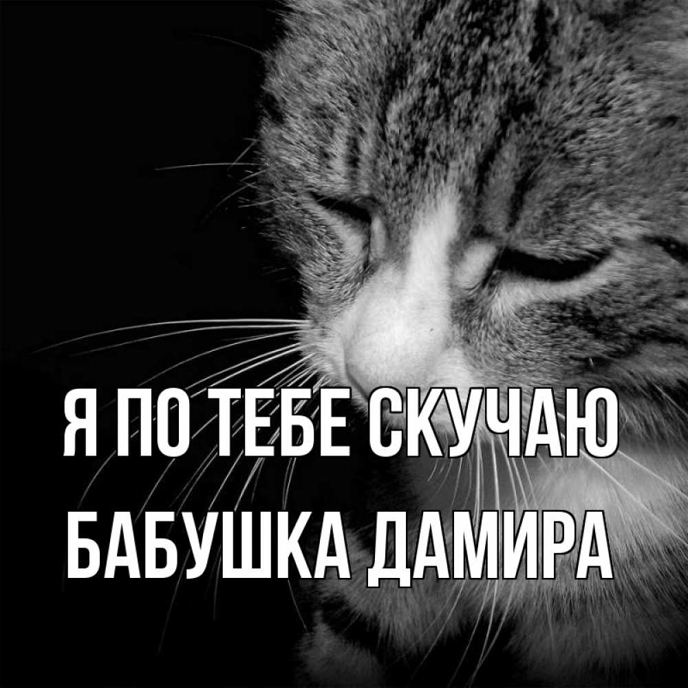 Открытка на каждый день с именем, Бабушка-Дамира Я по тебе скучаю мне скучно Прикольная открытка с пожеланием онлайн скачать бесплатно 