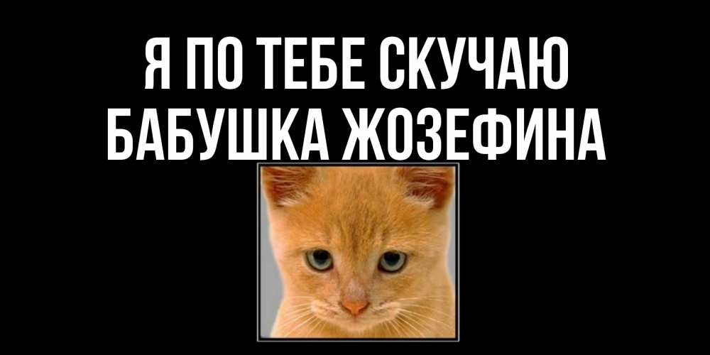 Открытка на каждый день с именем, Бабушка-Жозефина Я по тебе скучаю открытки рыжий котенок скучает по тебе Прикольная открытка с пожеланием онлайн скачать бесплатно 