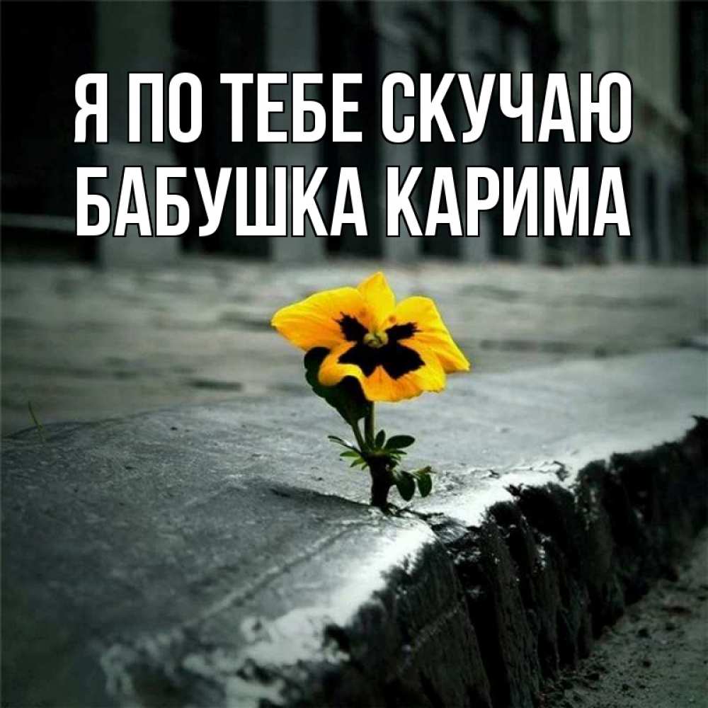 Открытка на каждый день с именем, Бабушка-Карима Я по тебе скучаю надеюсь будет лучше Прикольная открытка с пожеланием онлайн скачать бесплатно 