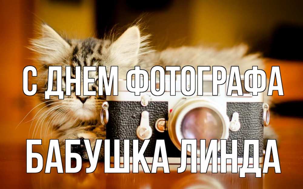 Открытка на каждый день с именем, Бабушка-Линда С днем фотографа с днем фотографа Прикольная открытка с пожеланием онлайн скачать бесплатно 