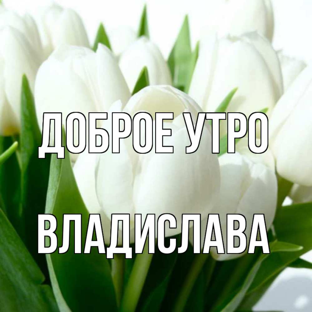 Открытка на каждый день с именем, Владислава Доброе утро открытки на каждый день по именам Прикольная открытка с пожеланием онлайн скачать бесплатно 