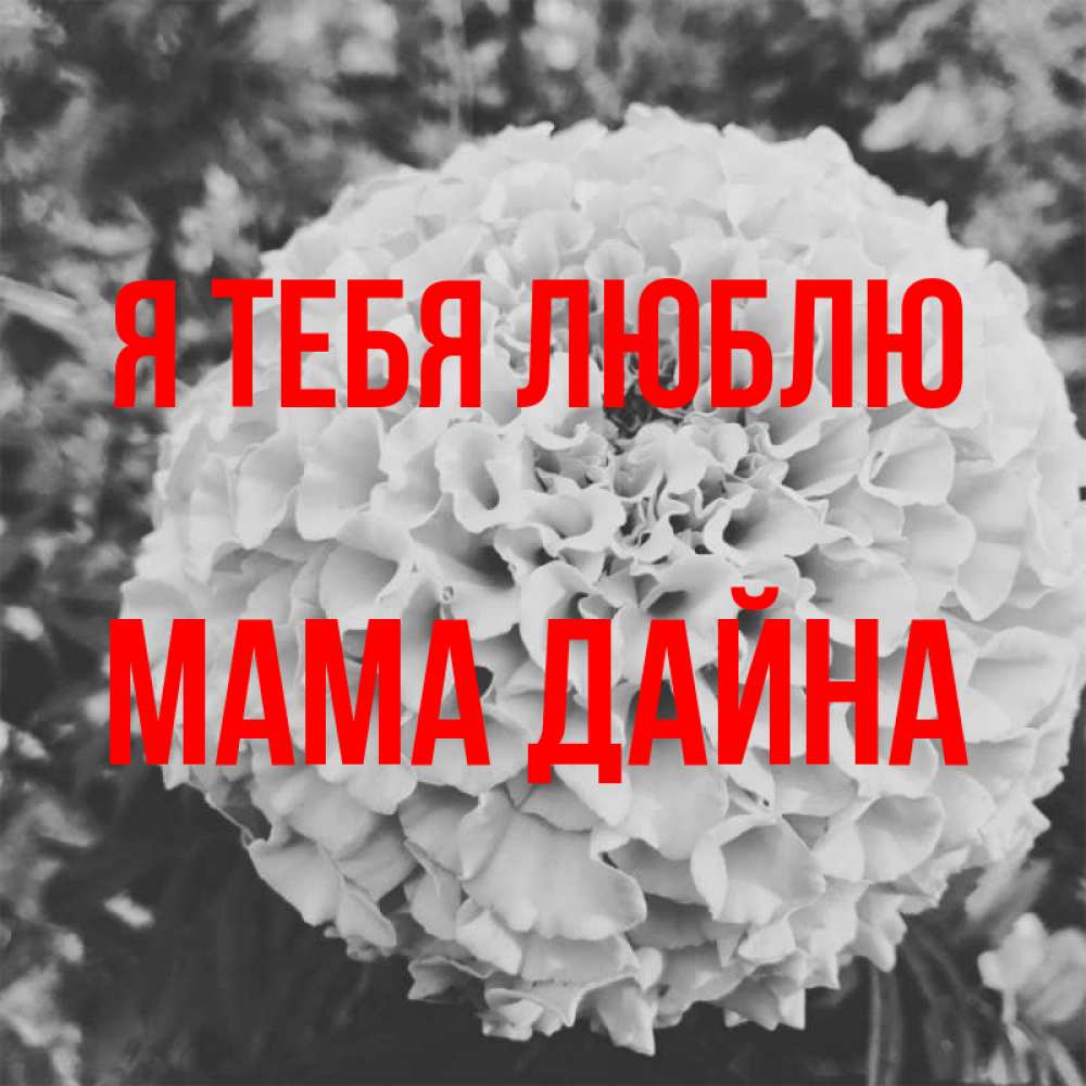 Открытка на каждый день с именем, Мама-Дайна Я тебя люблю подпись Прикольная открытка с пожеланием онлайн скачать бесплатно 
