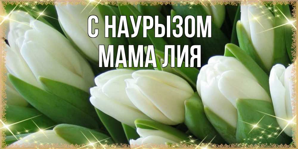 Открытка на каждый день с именем, Мама-Лия С наурызом поздравляем с праздник весны наурыз Прикольная открытка с пожеланием онлайн скачать бесплатно 