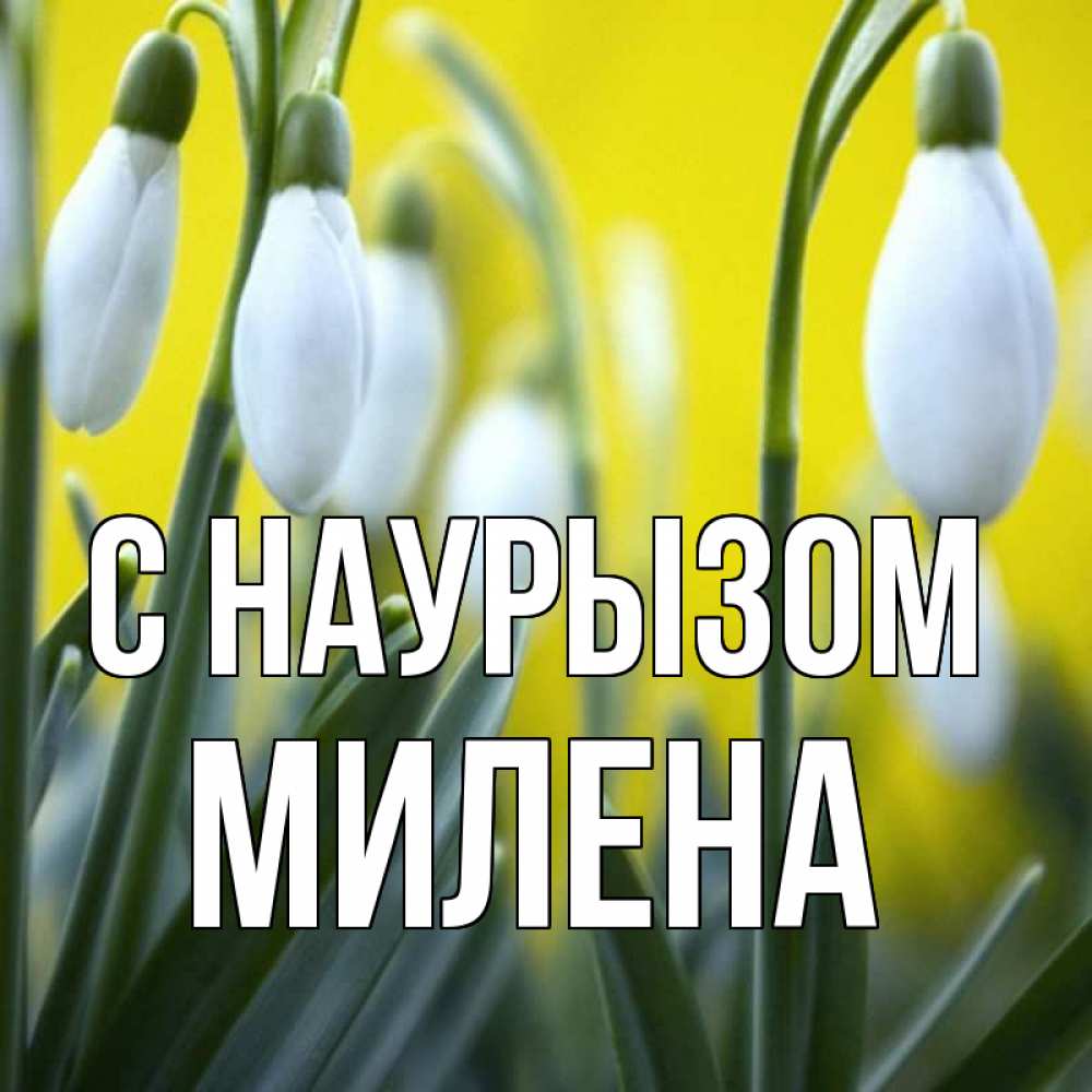 Открытка на каждый день с именем, Милена С наурызом весенние цветы Прикольная открытка с пожеланием онлайн скачать бесплатно 