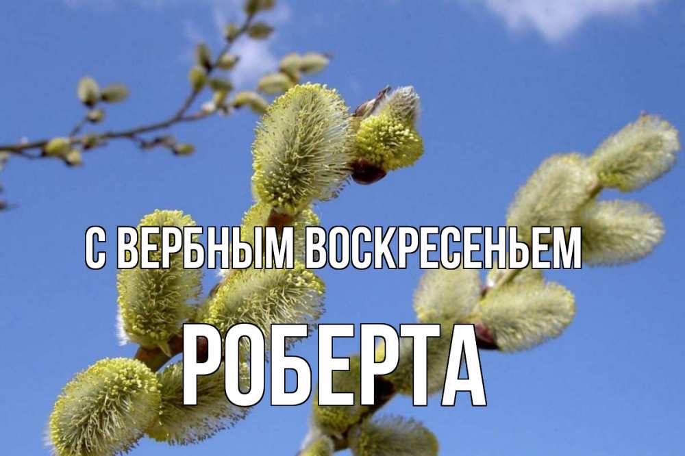Открытка на каждый день с именем, Роберта С вербным воскресеньем верба Прикольная открытка с пожеланием онлайн скачать бесплатно 