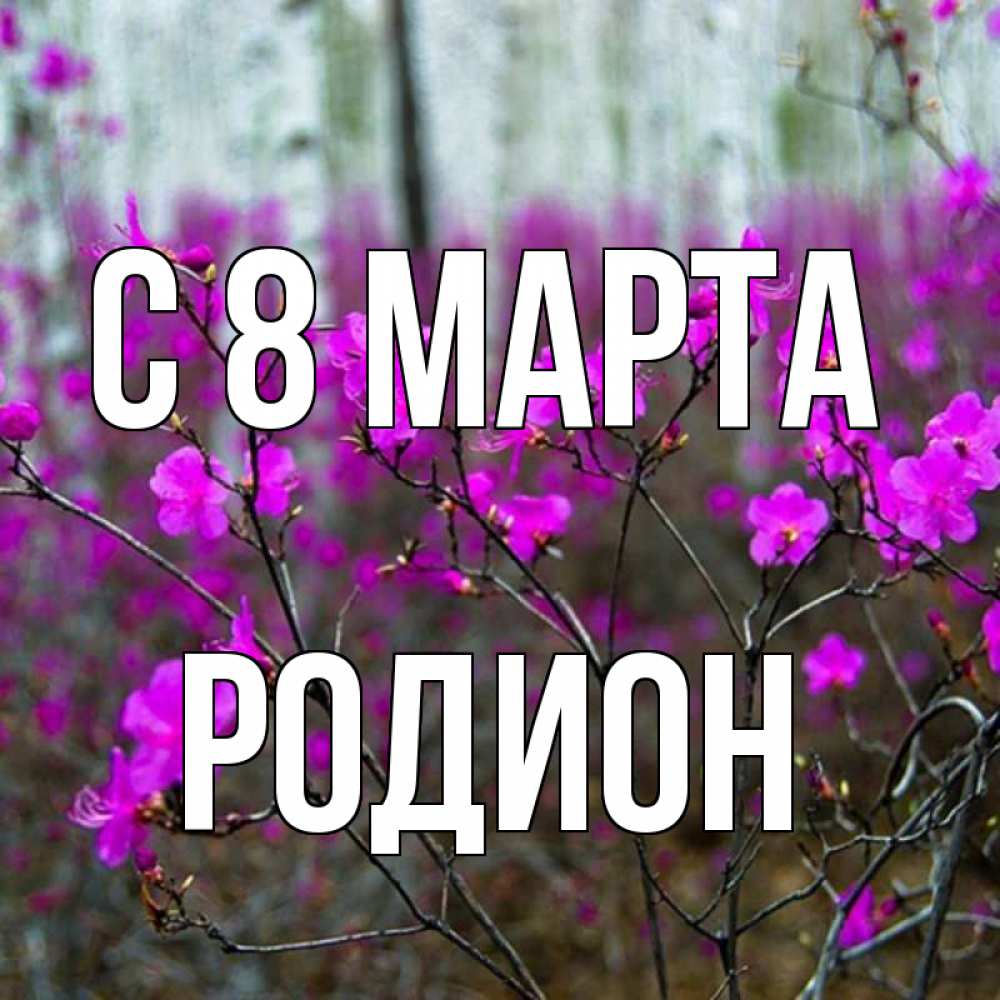 Открытка на каждый день с именем, Родион С 8 марта дикие цветы Прикольная открытка с пожеланием онлайн скачать бесплатно 