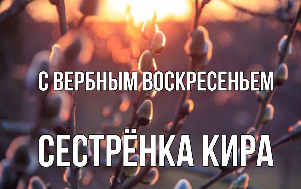 Открытка на каждый день с именем, Сестрёнка-Кира С вербным воскресеньем верба Прикольная открытка с пожеланием онлайн скачать бесплатно 