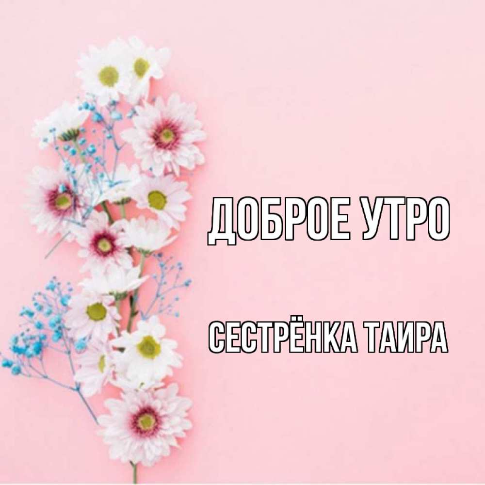 Открытка на каждый день с именем, Сестрёнка-Таира Доброе утро цветы с подписью Прикольная открытка с пожеланием онлайн скачать бесплатно 