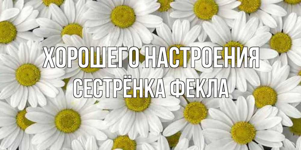 Открытка на каждый день с именем, Сестрёнка-Фекла Хорошего настроения поляна ромашек Прикольная открытка с пожеланием онлайн скачать бесплатно 