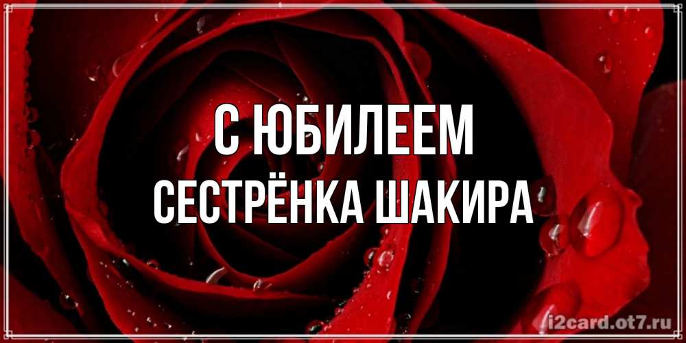 Открытка на каждый день с именем, Сестрёнка-Шакира С юбилеем крупная бордовая роза Прикольная открытка с пожеланием онлайн скачать бесплатно 