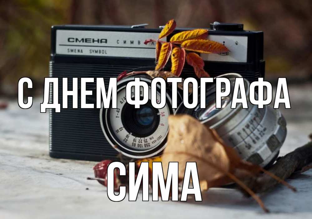 Открытка на каждый день с именем, Сима С днем фотографа с днем фотографа Прикольная открытка с пожеланием онлайн скачать бесплатно 