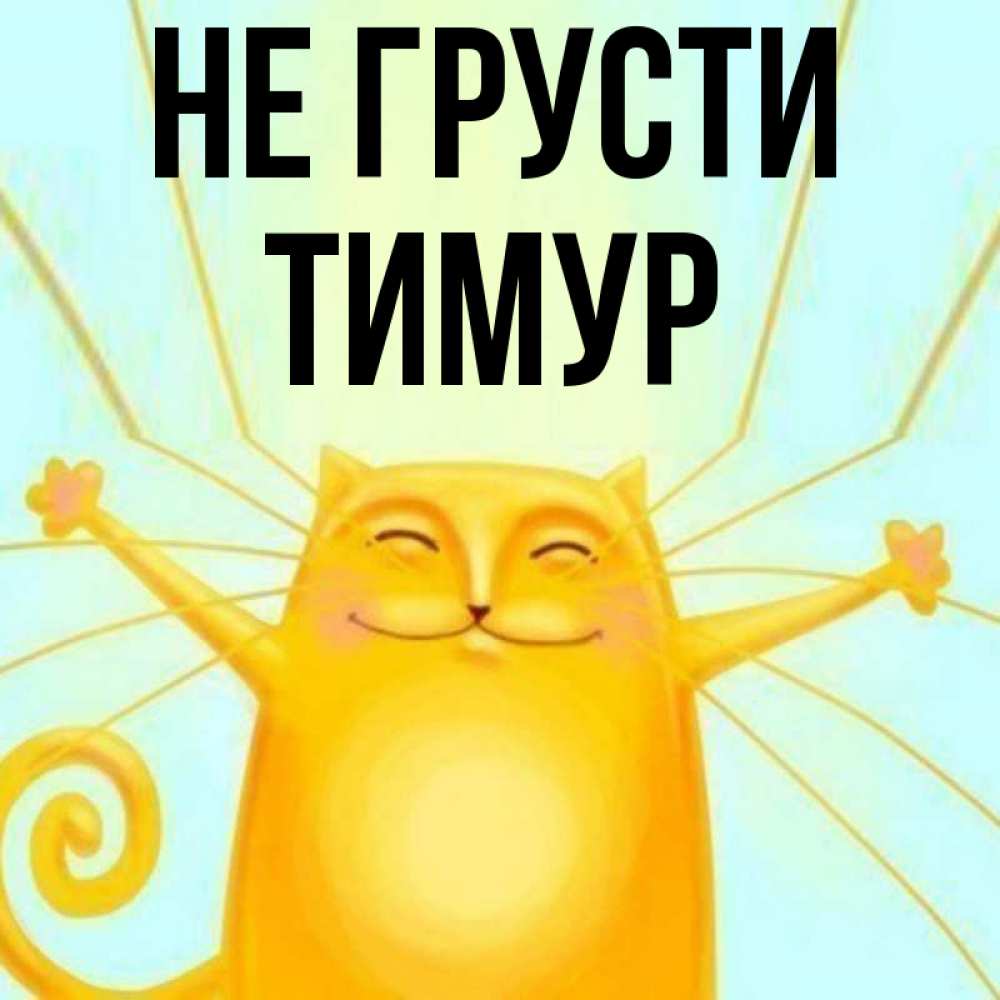 Открытка на каждый день с именем, Тимур Не грусти обнимашки усатые Прикольная открытка с пожеланием онлайн скачать бесплатно 