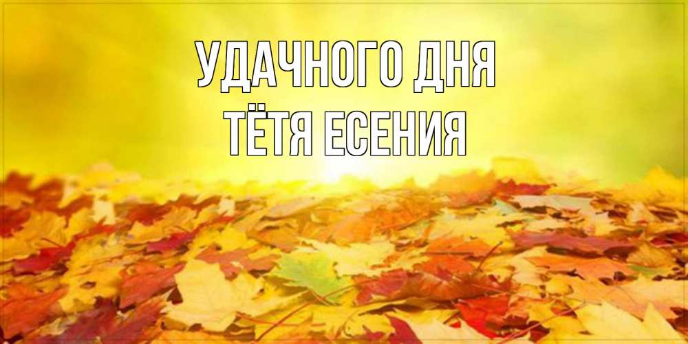Открытка на каждый день с именем, Тётя-Есения Удачного дня пожелания удачного дня Прикольная открытка с пожеланием онлайн скачать бесплатно 