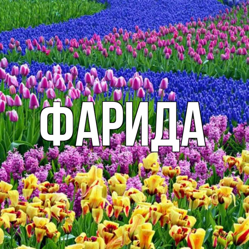 Открытка на каждый день с именем, Фарида Главная цветы Прикольная открытка с пожеланием онлайн скачать бесплатно 