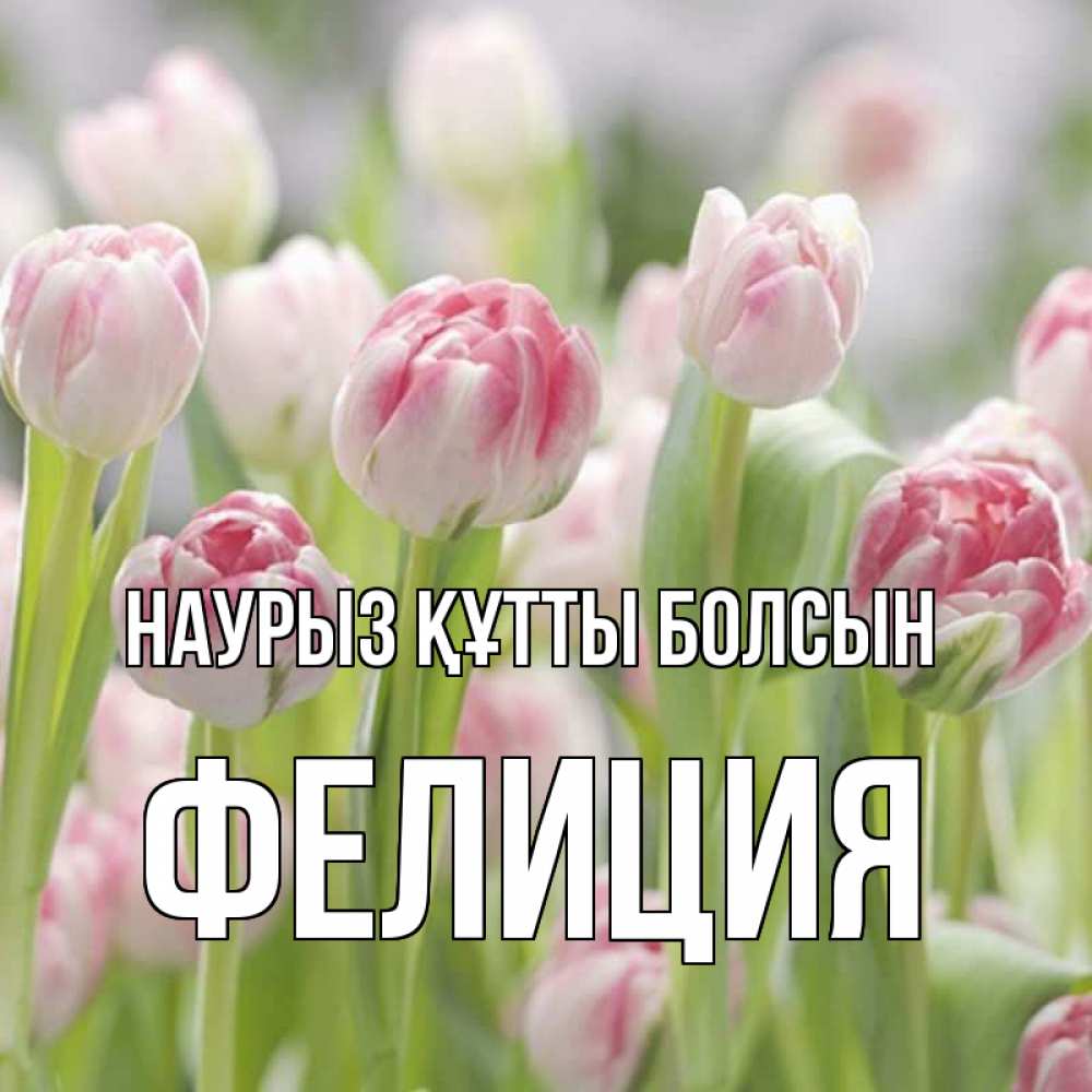 Открытка на каждый день с именем, Фелиция Наурыз құтты болсын цветы Прикольная открытка с пожеланием онлайн скачать бесплатно 